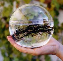 Ecosferas, una nueva forma de ver la ciencia