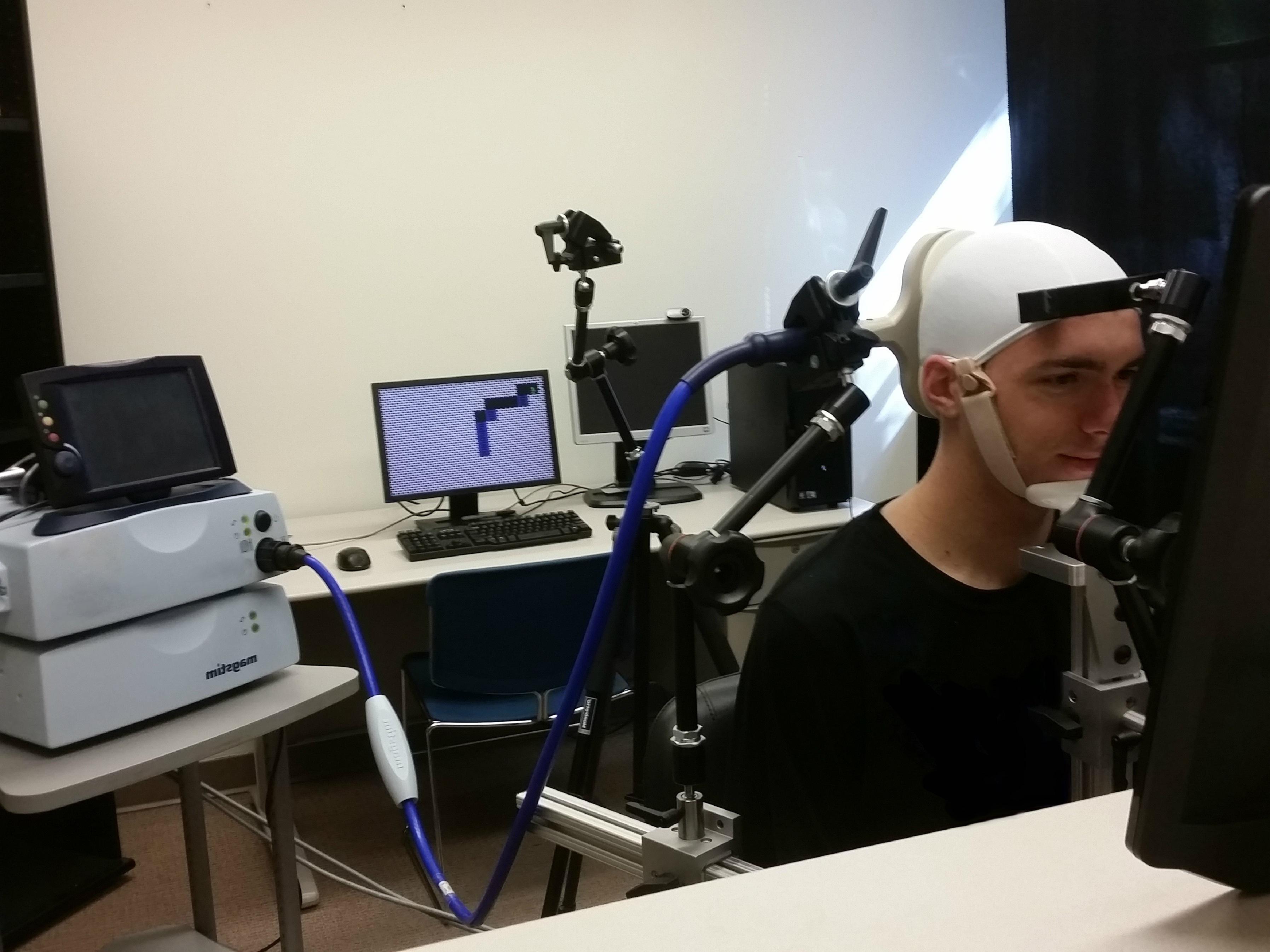 Momento del experimento. Fuente: Universidad de Washington.