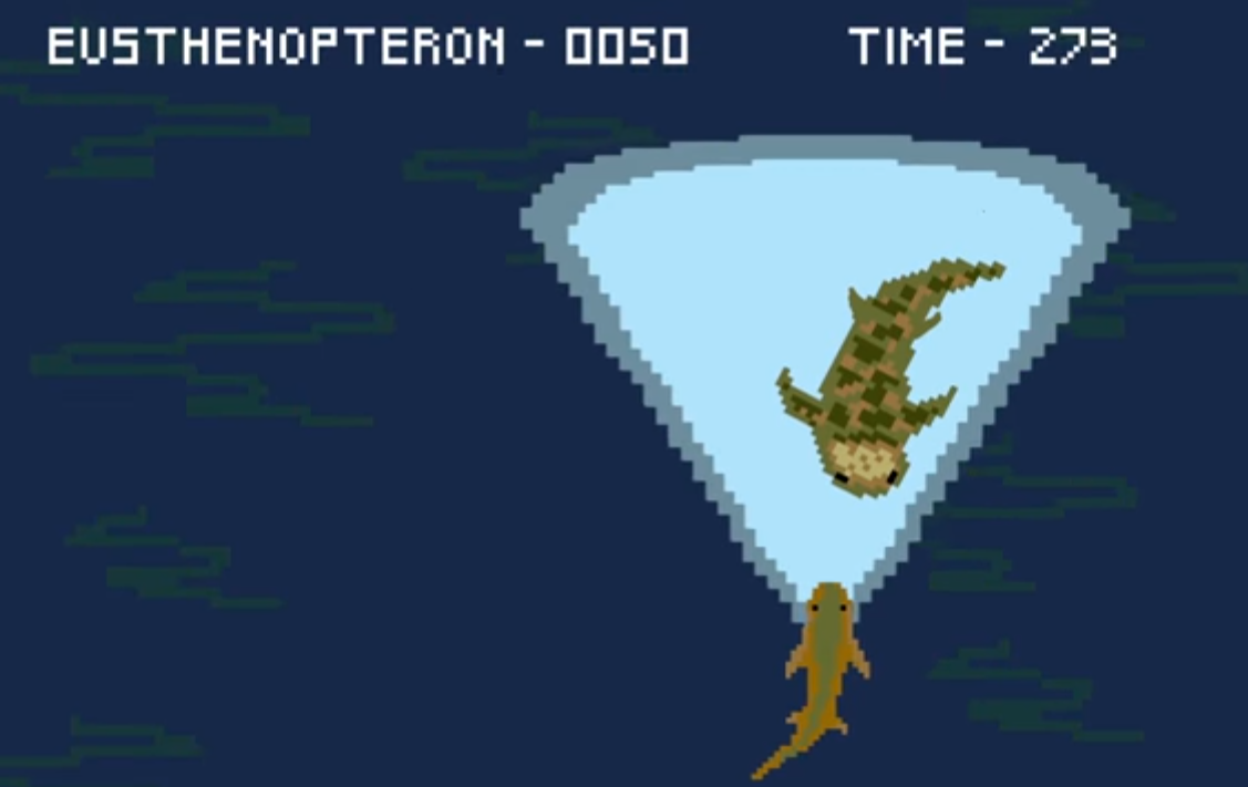 Una de las imágenes del vídeo explicativo del proceso del paso del agua a la tierra de nuestros ancestros, hace 385 millones de años. Fuente: Universidad Northwestern.