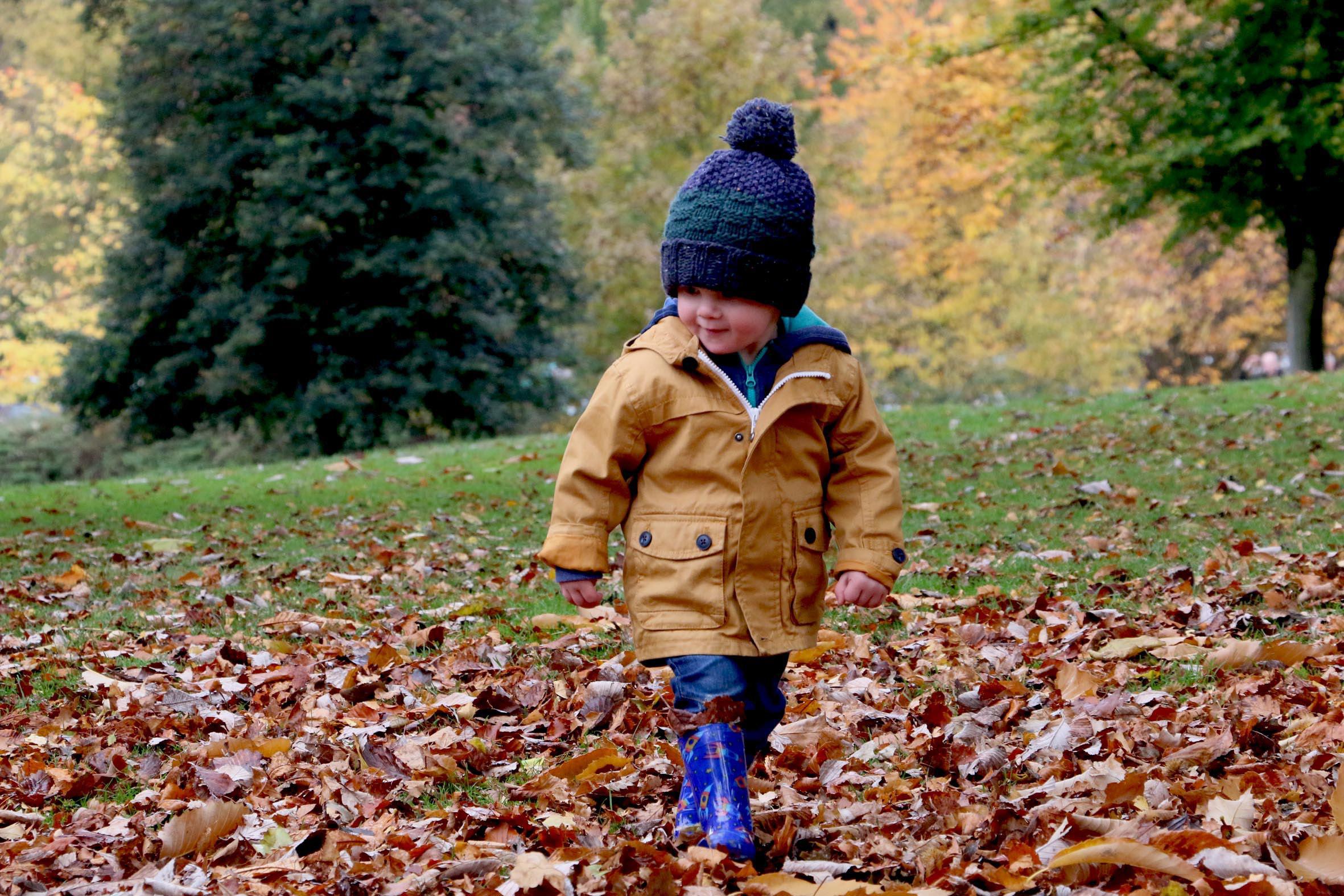 Foto: Michael Podger - Creative Commons