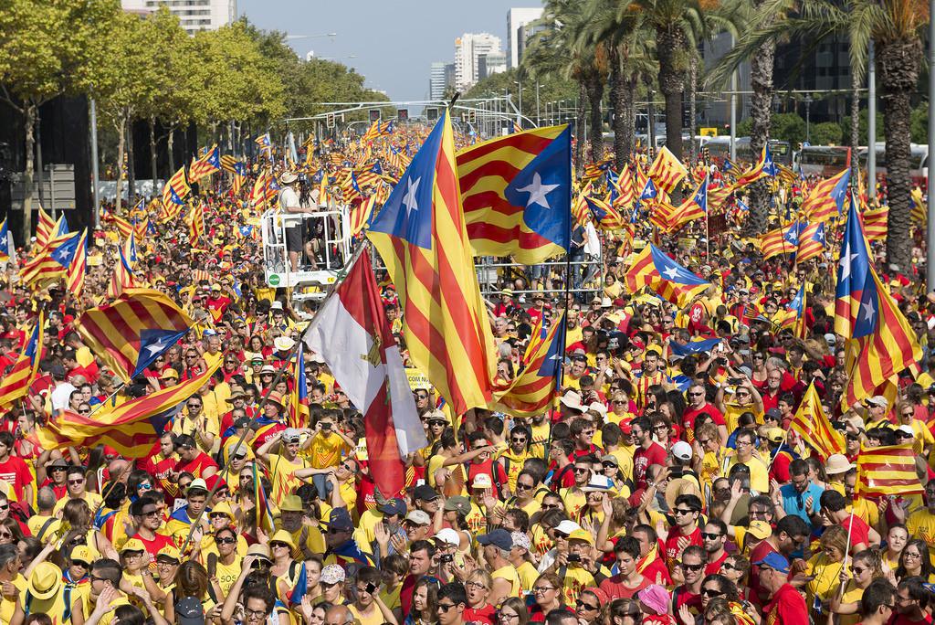 Foto: Jordi Ventura i Plans.  Assemblea.cat