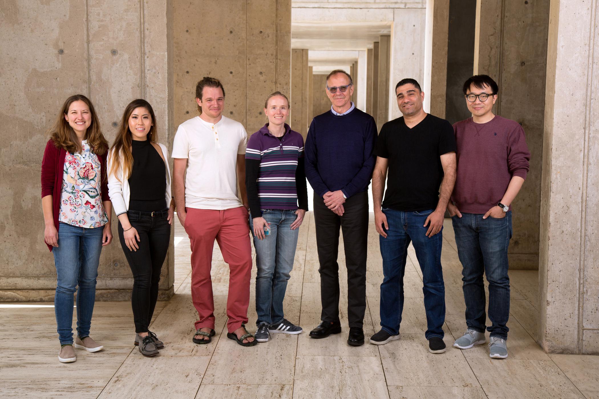El equipo de científicos que ha realizado la proeza (de izquierda a derecha): Sarah Fernandes, Daphne Quang, Stephen Johnston, Sarah Parylak, Rusty Gage, Abed AlFattah Mansour, Hao Li. Credit: Salk Institute