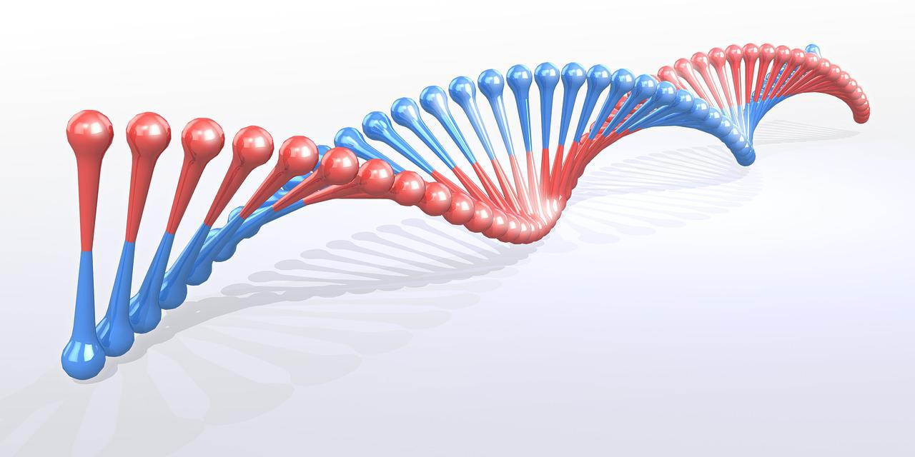 afecta la separación de genes