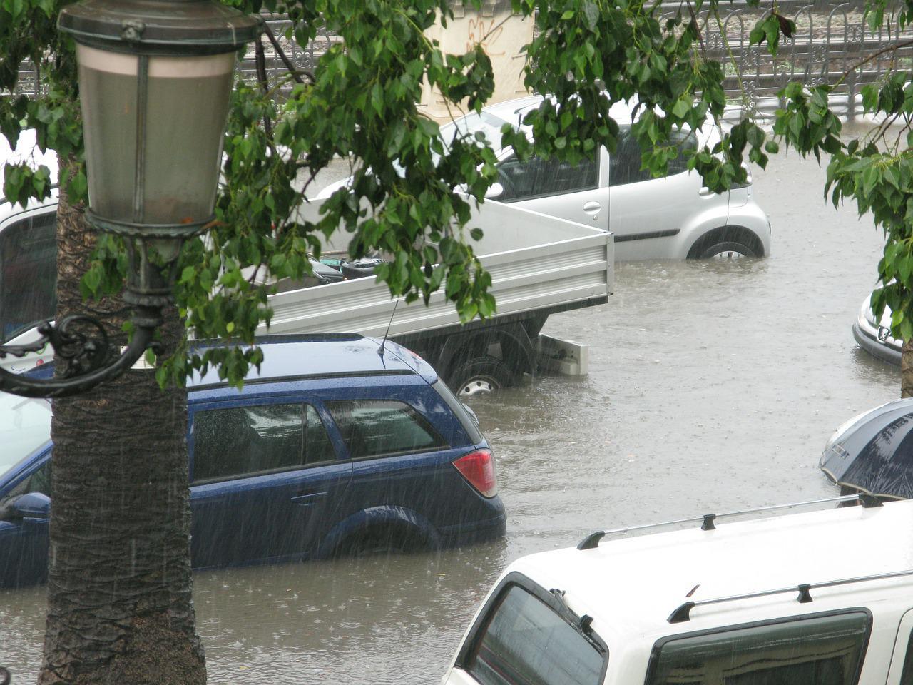 WikiImages.