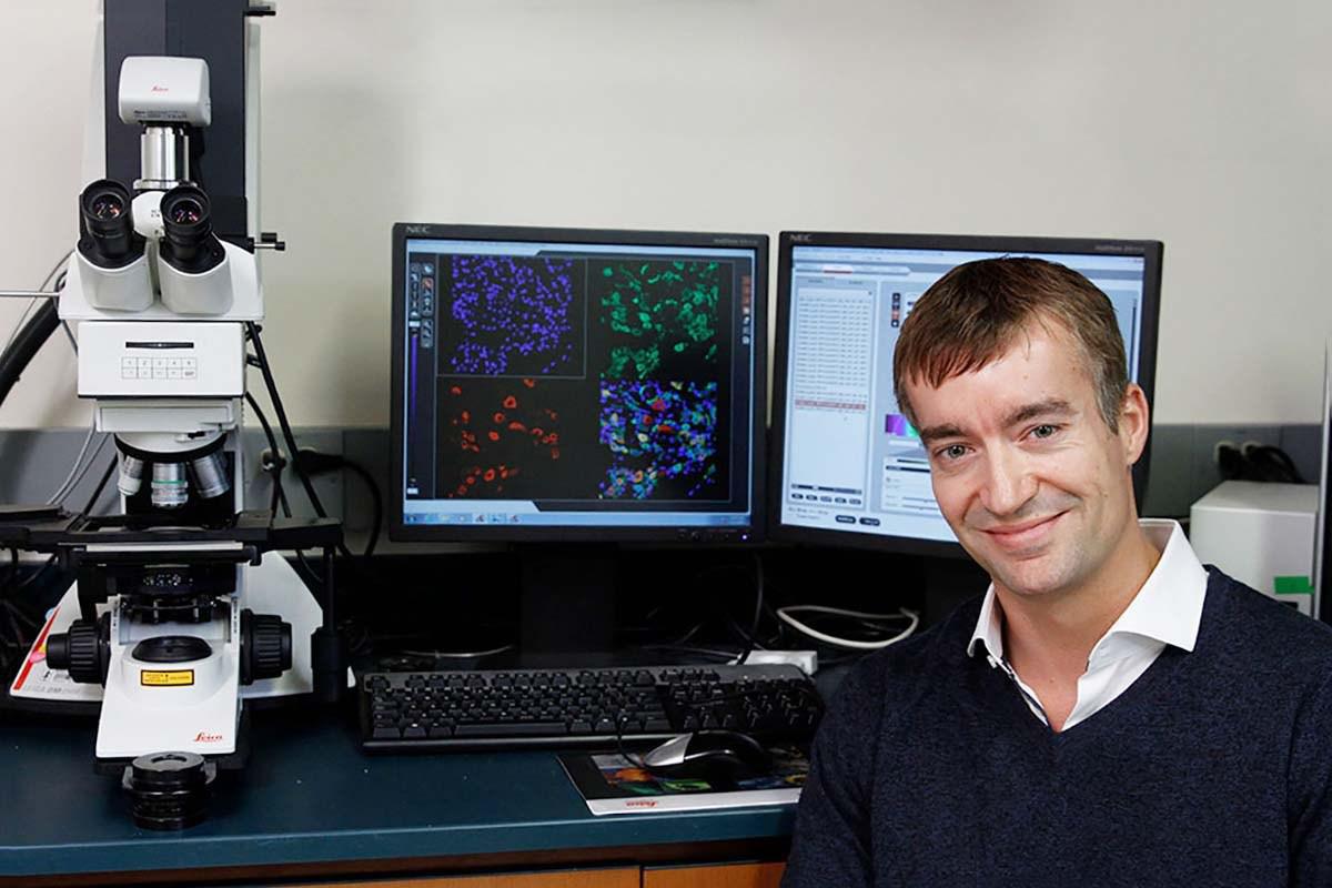 Gregory Scherrer y sus colaboradores han identificado en ratones un conjunto de células que parece funcionar específicamente como un interruptor para la aversión al dolor. Imagen: Paul Sakuma / Stanford University.