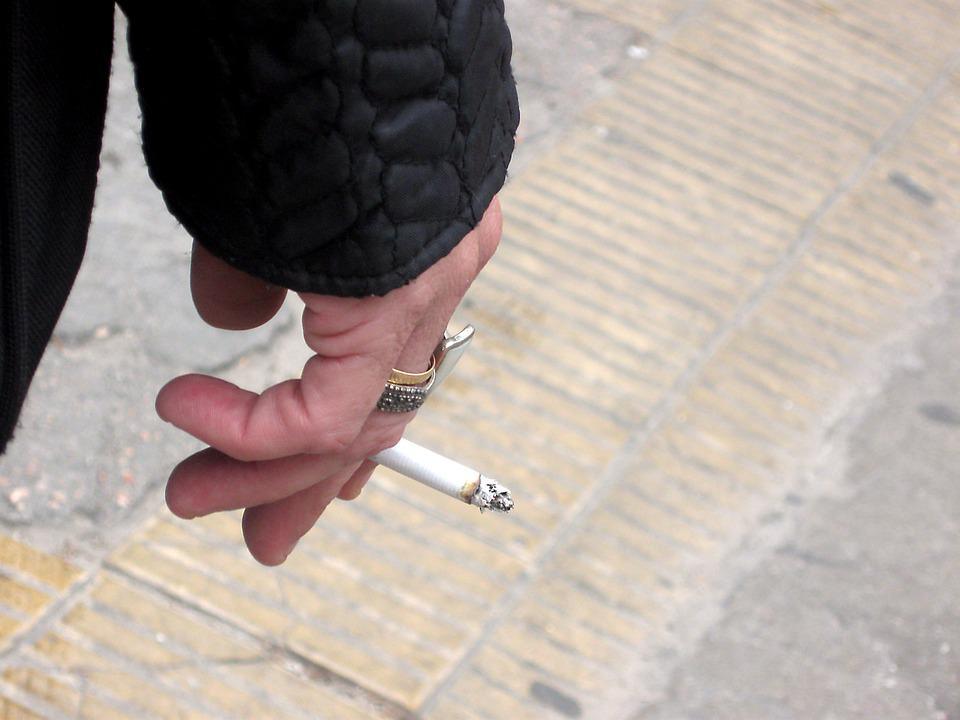 Imagen: qlcute.
