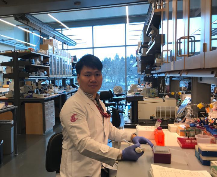 Jun Seok Son ha dirigido la investigación. Imagen: Jun Seok Son / Universidad Estatal de Washington.