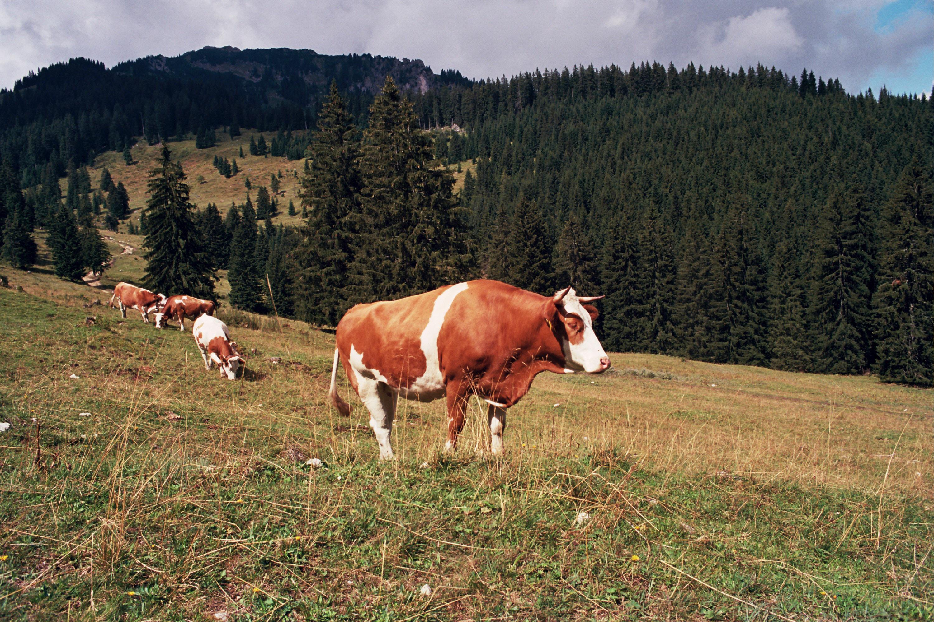 Photo by Markus Spiske on Unsplash