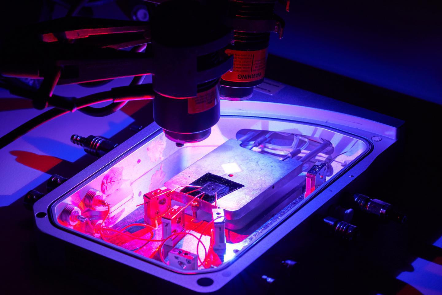 El nuevo chip se basa en un material ultra delgado que cambia la resistencia eléctrica en respuesta a diferentes longitudes de onda de la luz. Foto: Universidad RMIT.