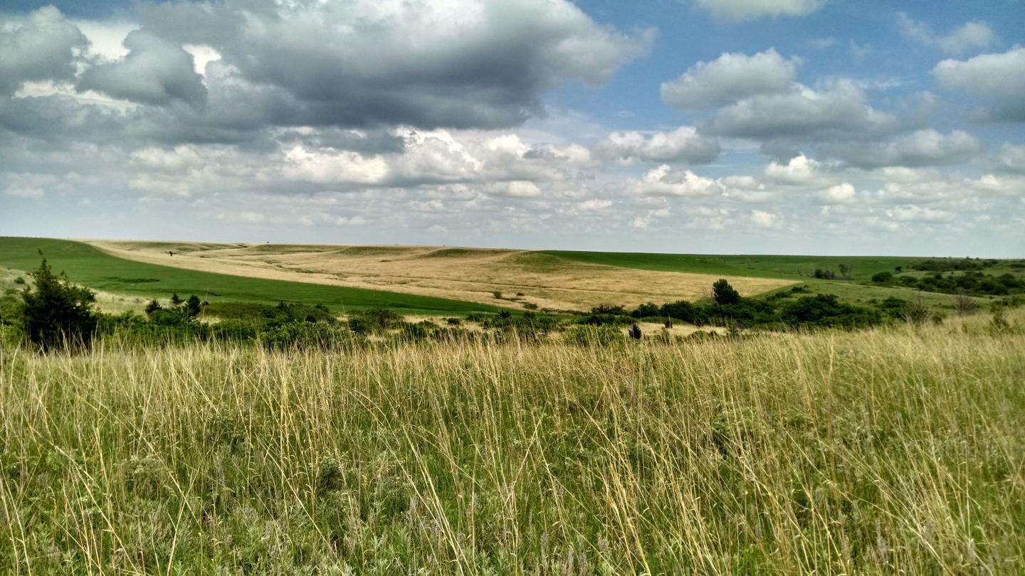 Estación biológica Konza Prairie en el noreste de Kansas. Foto: Kim Komatsu, Centro Smithsonian de Investigación Ambiental.