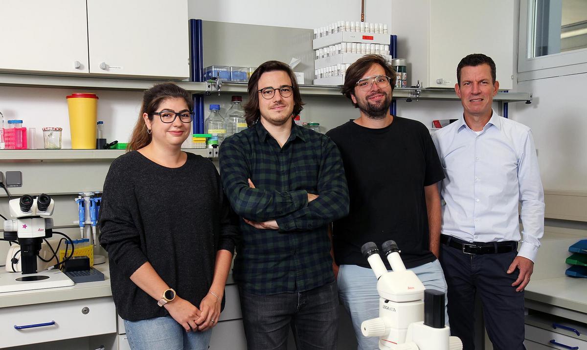 Los autores de esta investigación (de izquierda a derecha): Vanessa Bräuler, Benjamin Escribano, Dominique Siegenthaler y el Prof. Dr. Jan Pielage. Crédito: Koziel / TUK