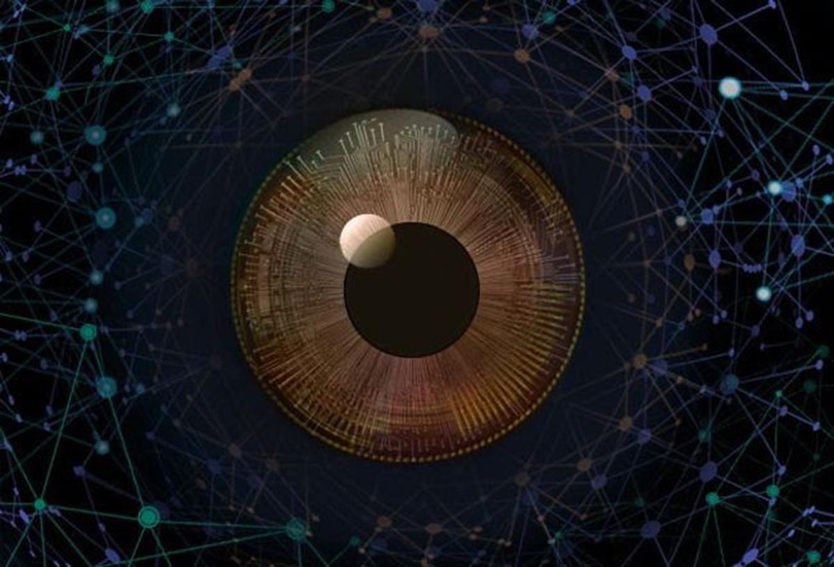 La Inteligencia Artificial en busca de ventajas cuánticas. Imagen cortesía de Alexey Melnikov.(MIPT)