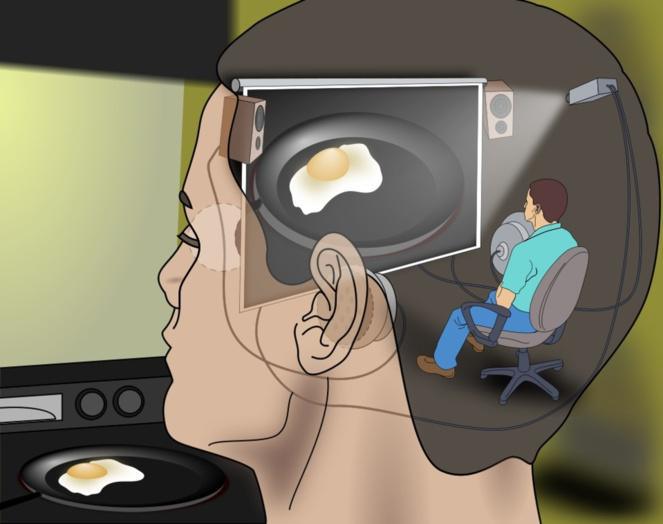 El cerebro y el tiempo, temas favoritos de 2013