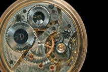 El cerebro y el tiempo, temas favoritos de 2013