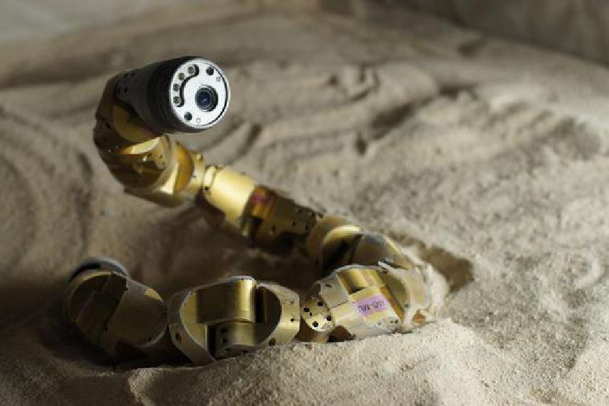 El robot-serpiente. Imagen: Nico Zevallos y Chaochui Gong. Fuente: Sinc.