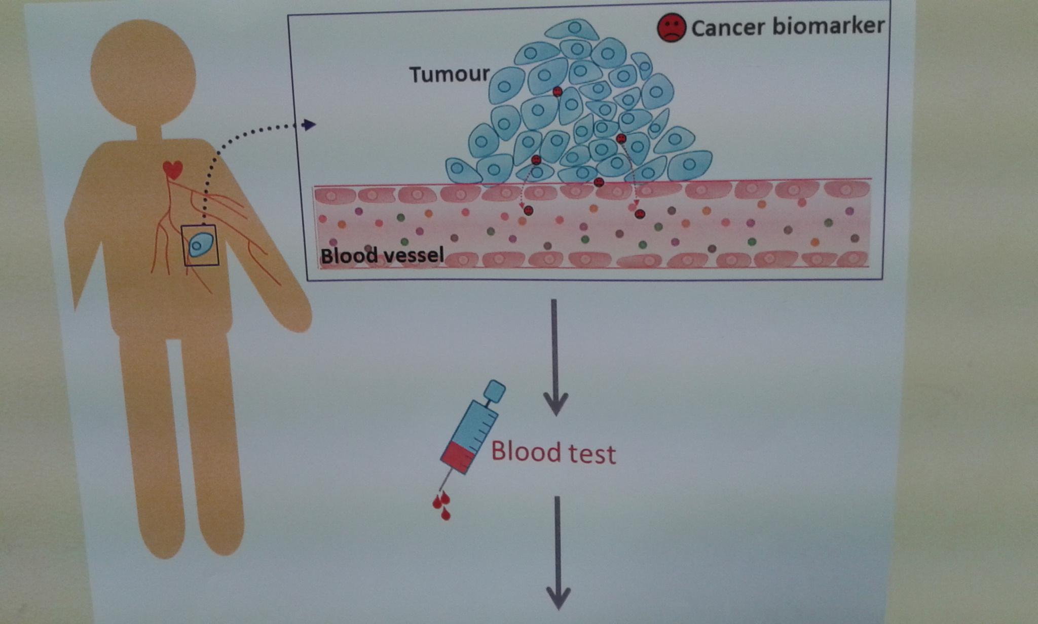 Gráfico del funcionamiento de los nanosensores biológicos. Fuente: CSIC.