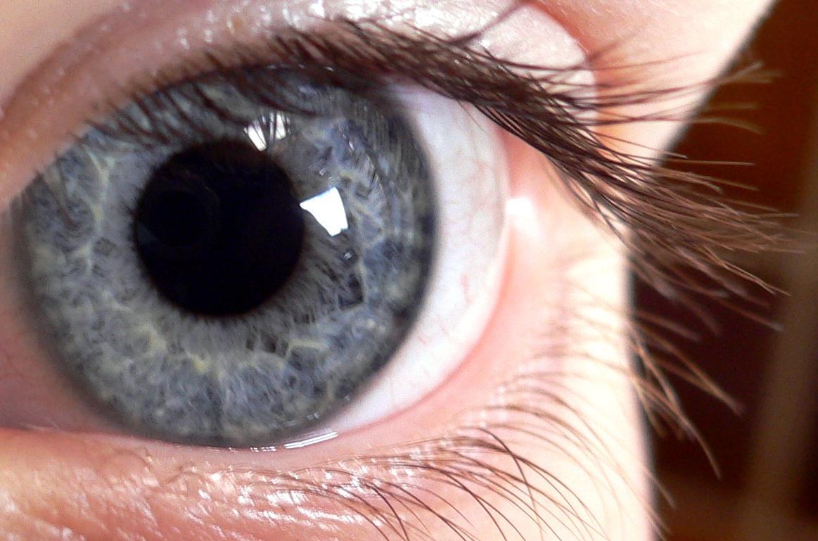 Fuente: Steve Jurvetson/ Flickr