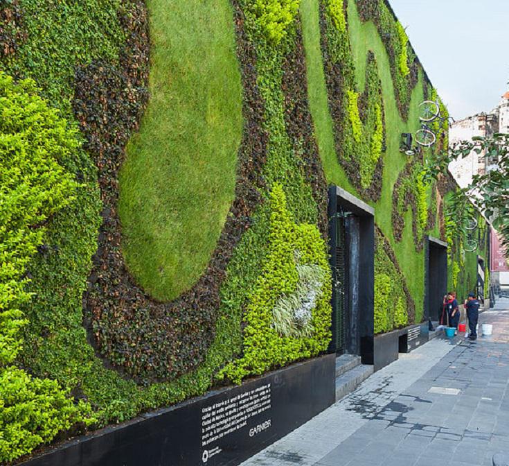 Pared de cultivo en la Universidad del Claustro de Sor Juana en la Ciudad de México. Imagen: Diego Delso. Fuente: Wikipedia.