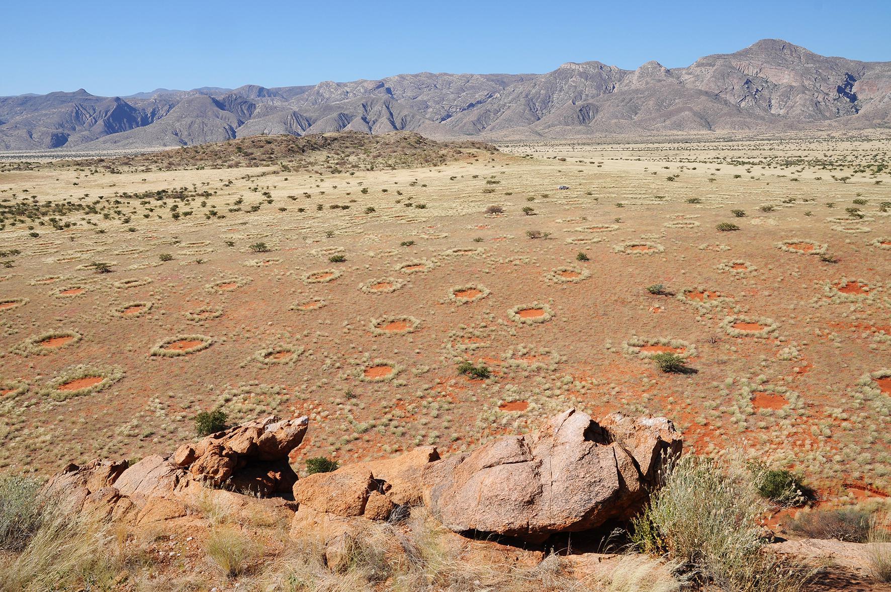 Vista aérea de los anillos de hadas de Namibia. Imagen: Stephan Getzin/UFZ. Fuente: Centro Helmholtz.