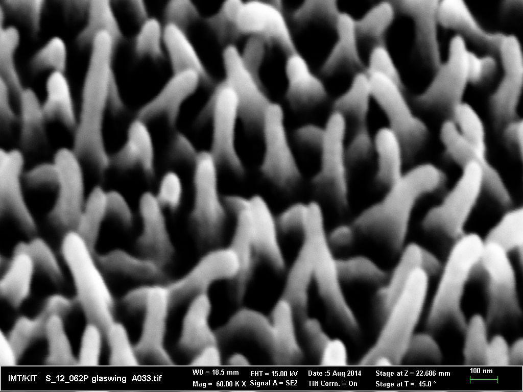 La irregularidad del tamaño y de la distribución de las nanoestructuras de la superficie de las alas de mariposa de cristal causan una baja reflexión a la luz desde todos los ángulos de visión. Imagen: Radwanul Hasan Siddique. Fuente: KIT.