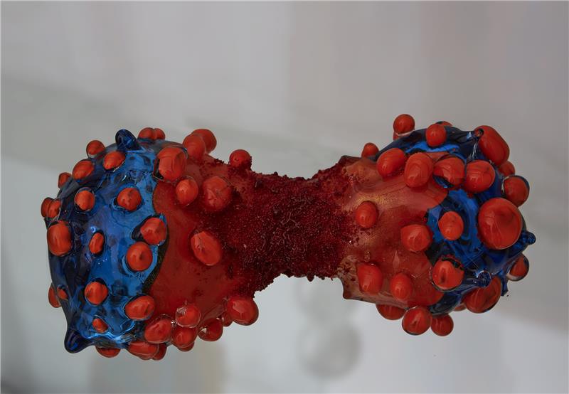 ‘Células”, por Lucy y Jorge Orta. Imagen: EMBL Photolab. Fuente: AlphaGalileo.