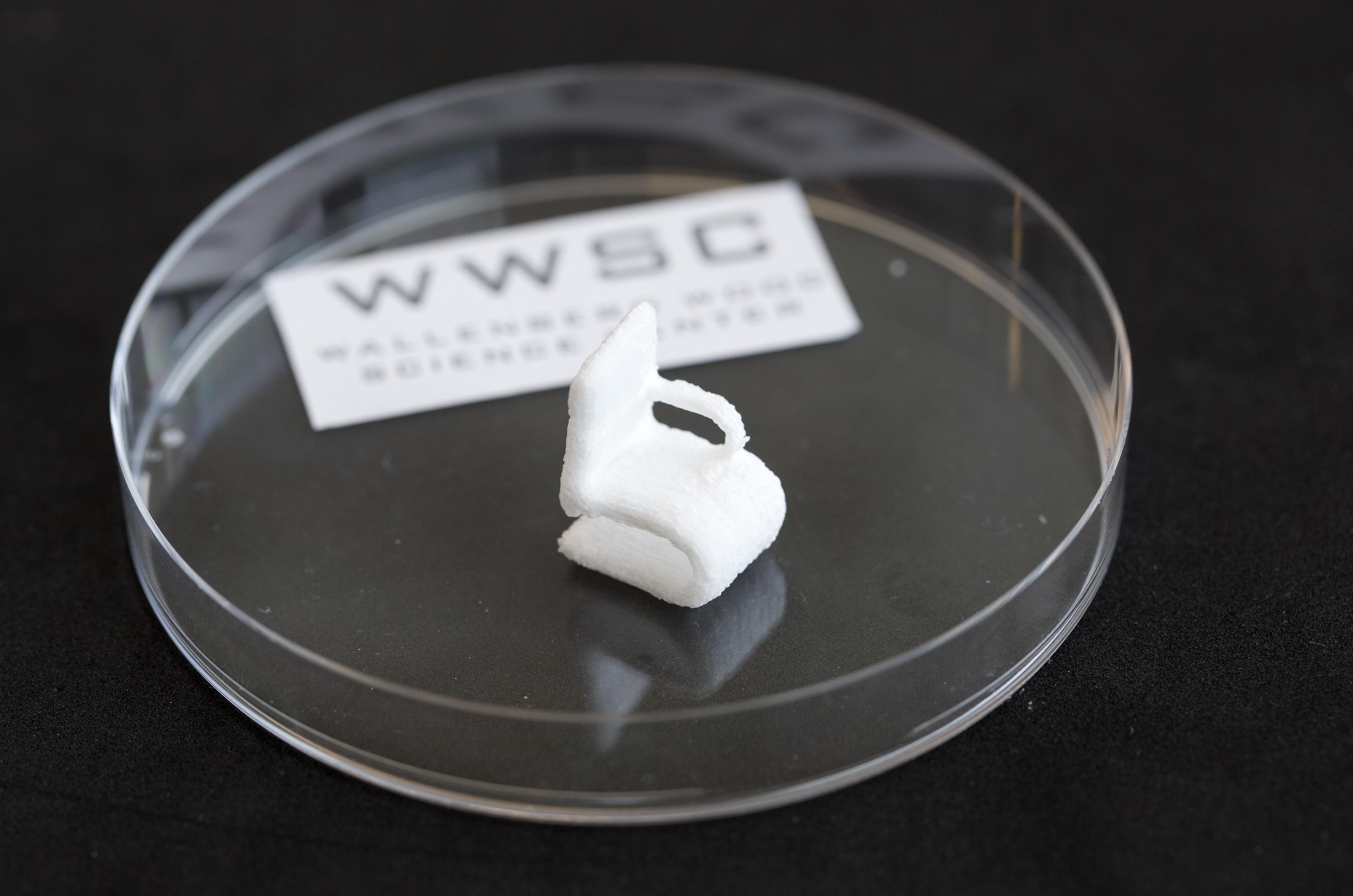 Pequeña silla impresa con celulosa, usando una bioimpresora 3D. Imagen: Peter Widing. Fuente: Universidad Tecnológica de Chalmers.