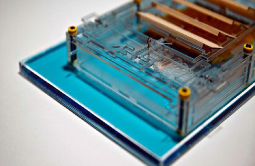 El motor de evaporación flotante funciona al abrirse y cerrarse unas 'persianas venecianas'. Imagen: Joe Turner Lin. Fuente: Sinc.