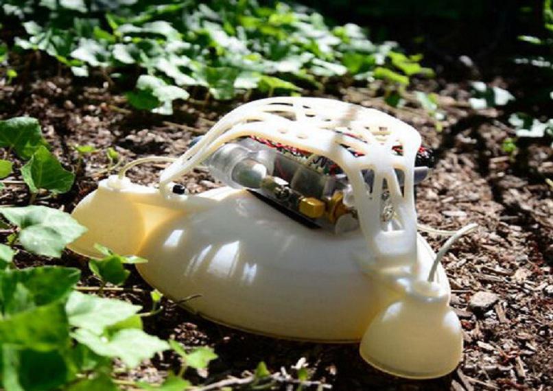 El robot. Fuente: Universidad de Harvard.