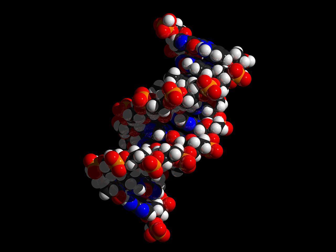 El epigenoma recoge la orientación sexual de los varones. Imagen: skeeze. Fuente: Pixabay.