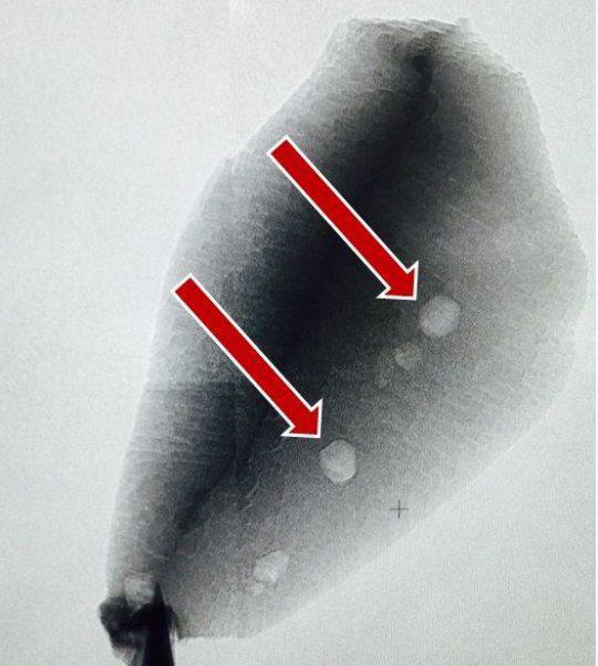 Carbono en un circonio de 4.100 millones de años de antigüedad. Fuente: Universidad de Stanford/UCLA.
