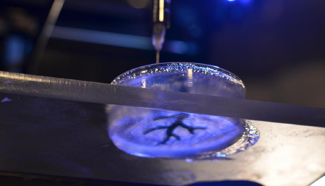 Bioimpresión en 3-D de una estructura de arteria coronaria. Fuente: Universidad Carnegie Mellon.