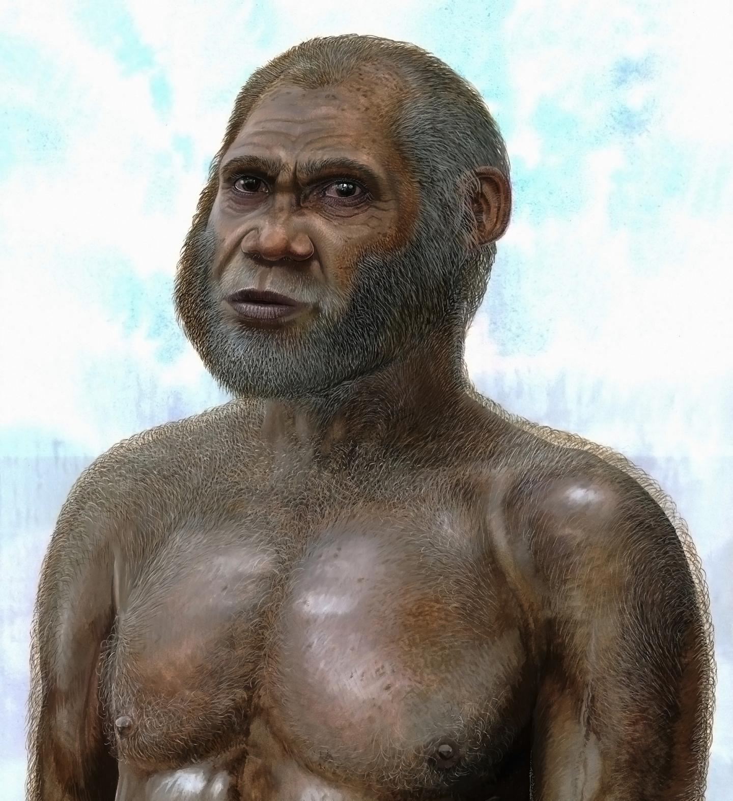 Reconstrucción artística de los humanos de la Cueva del ciervo rojo. Imagen: Peter Schouten. Fuente: UNSW.