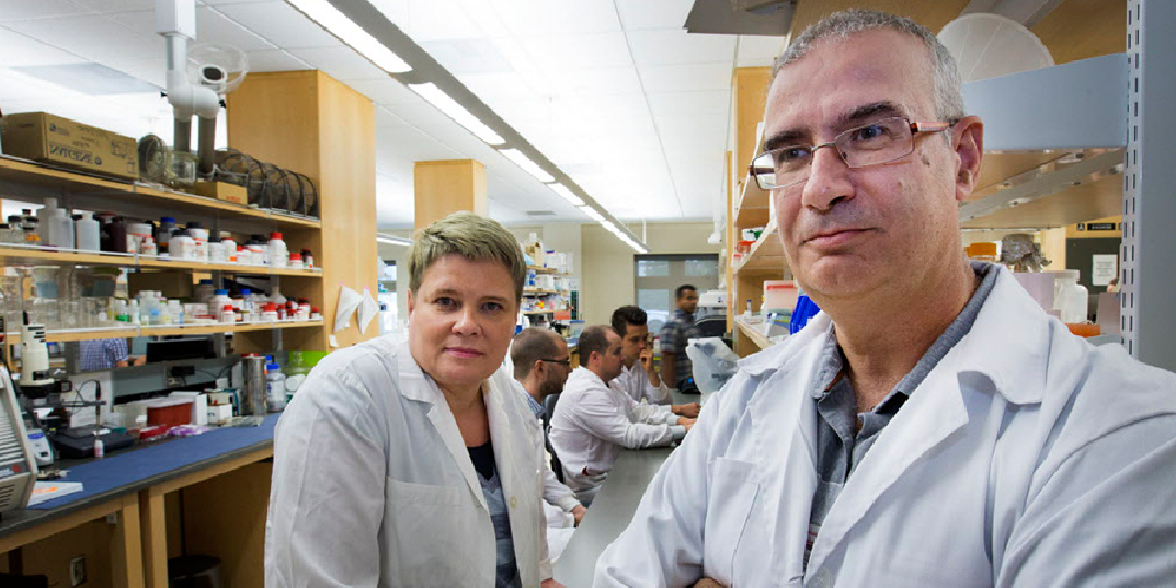 Héctor Caruncho junto a la investigadora Lisa Kalynchuk. Imagen: Gord Waldner, The StarPhoenix. Fuente: Universidad de Saskatchewan.