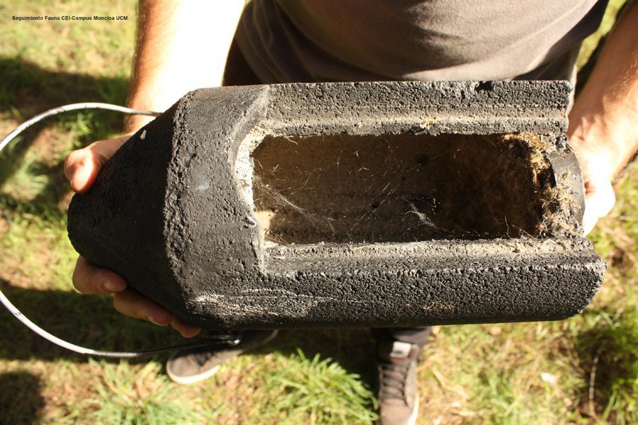 Caja de murciélagos. Fuente: UCM.