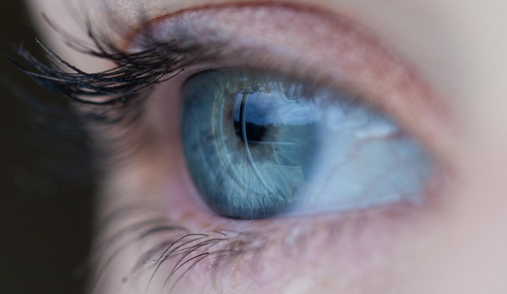 Imagen: Unsplash. Fuente: Pixabay.