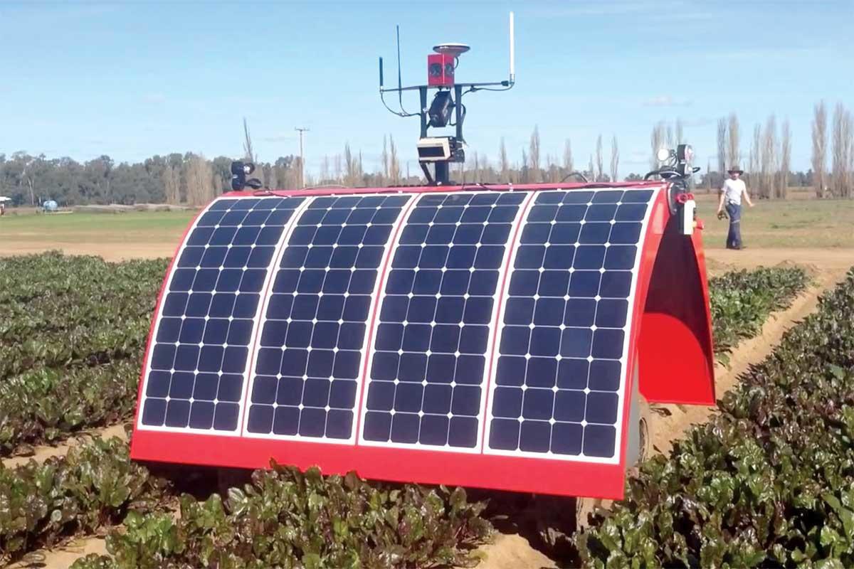 El uso de placas solares abarata costes y es más sostenible. Fuente: ACFR