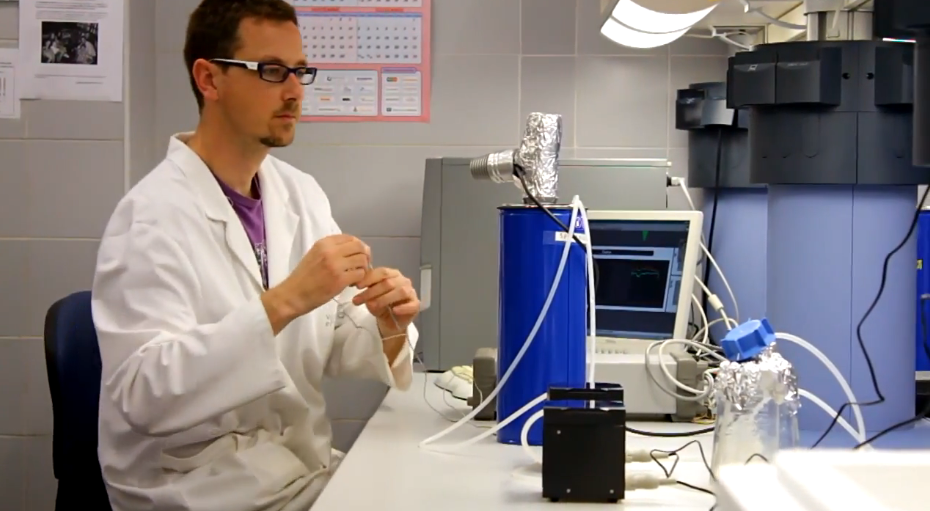 Manuel Porcar, en su laboratorio. Fuente: UV.