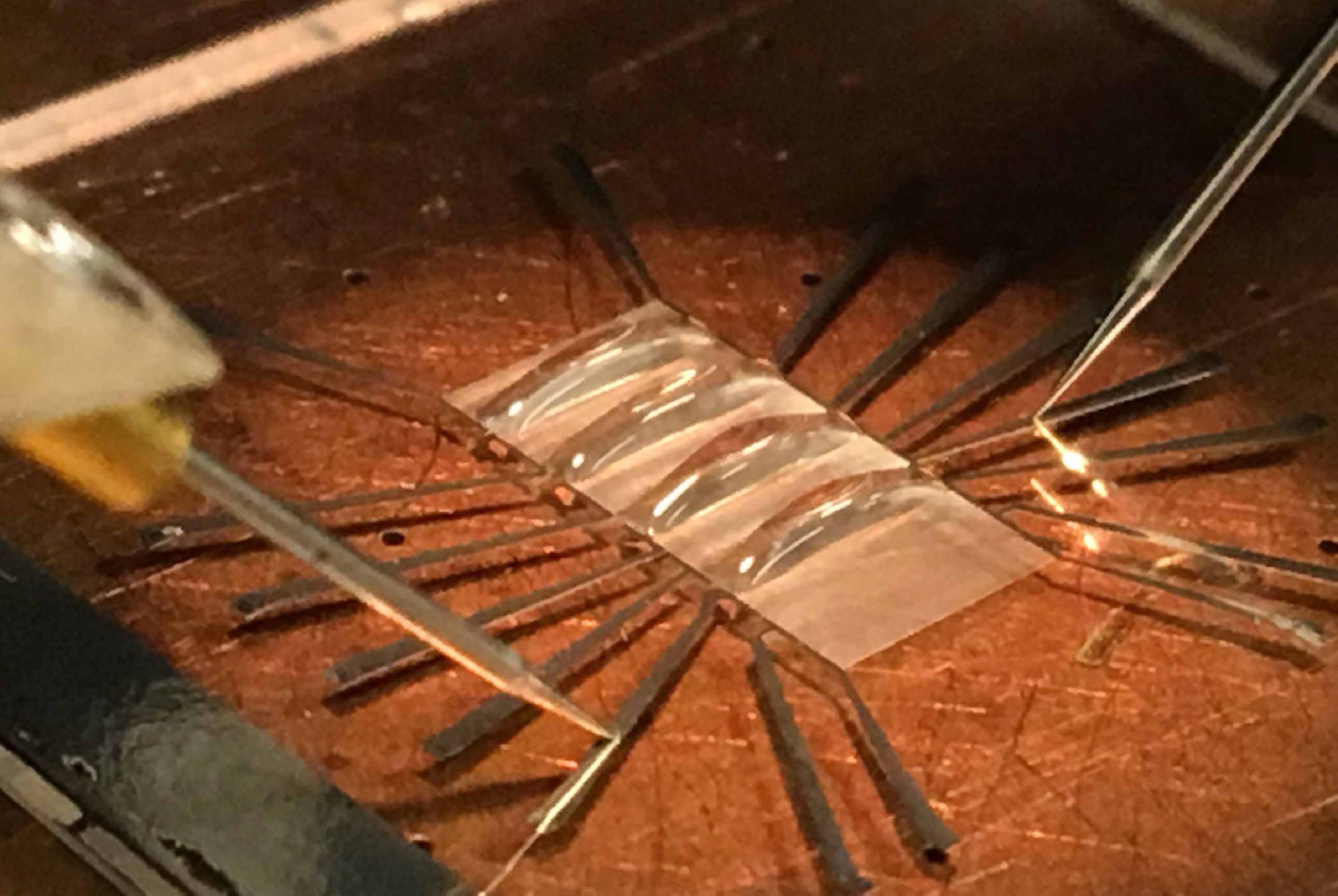 El chip electrónico dispone de matrices de cientos de sensores. Fuente: John Underwood/ Universidad de Purdue