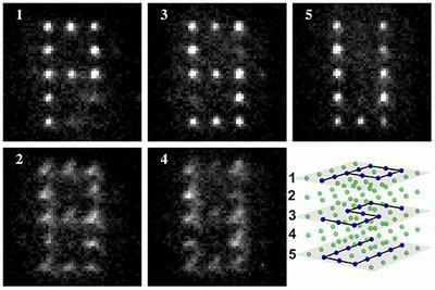 Las matrices de qubits. Fuente: Laboratorio D. Weiss/PSU.