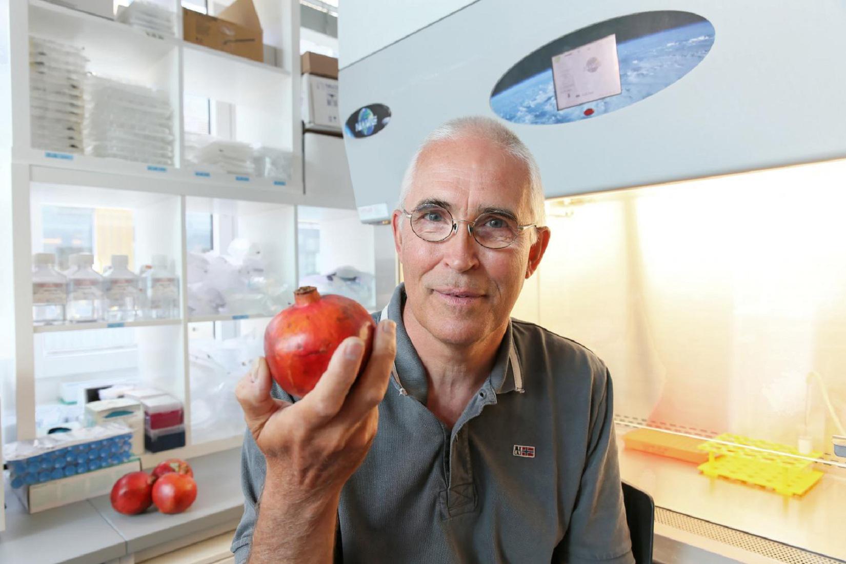 Johan Auwerx, con una granada. Imagen: Alain Herzog. Fuente: EPFL.