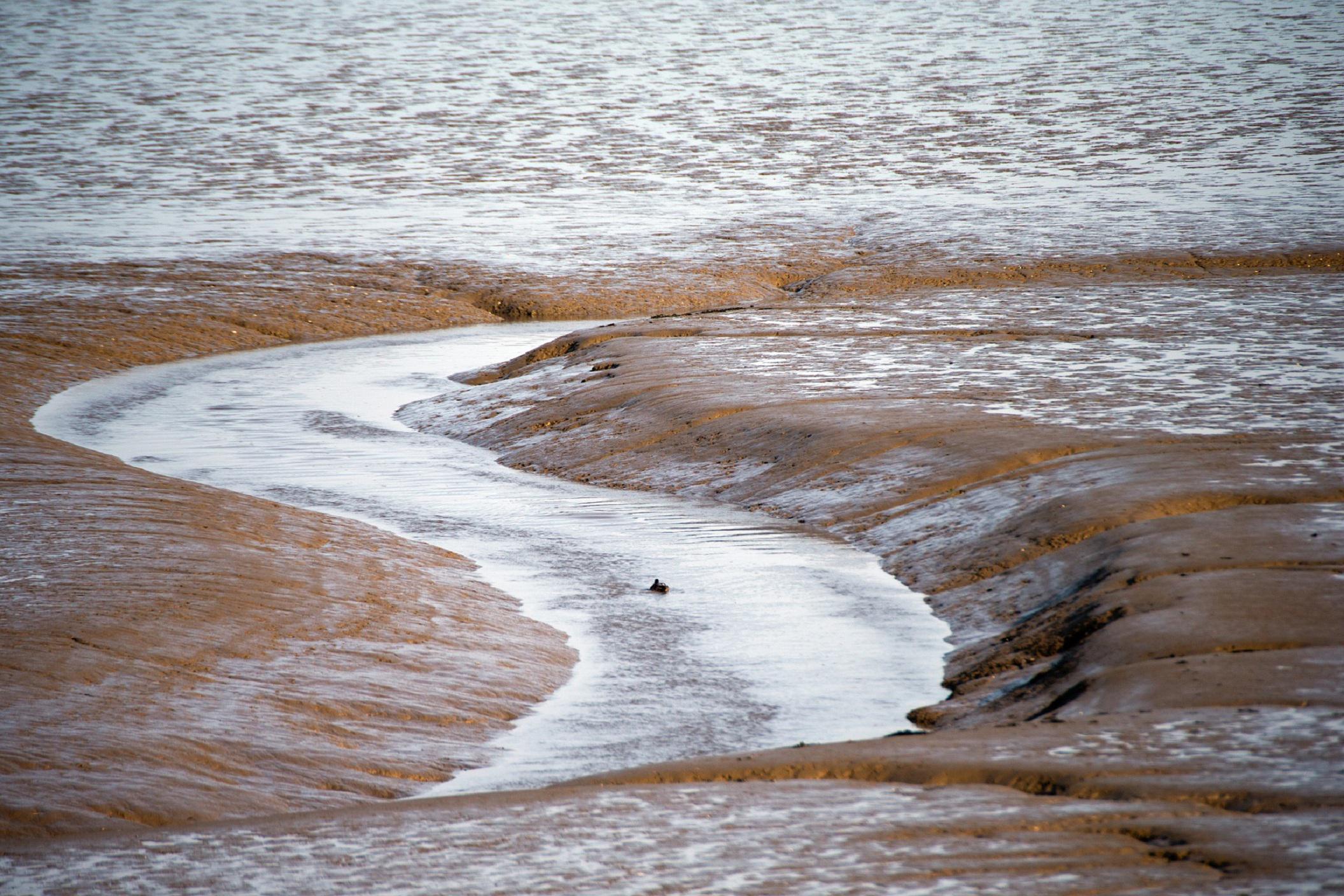 Estuario del río Támesis, en el mar del Norte. Imagen: RonPorter. Fuente: Pixabay.