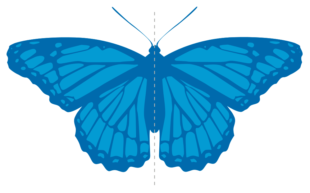 Ejemplo de simetría. Imagen: Bea.miau-Trabajo propio, CC0. Fuente: Wikimedia Commons.