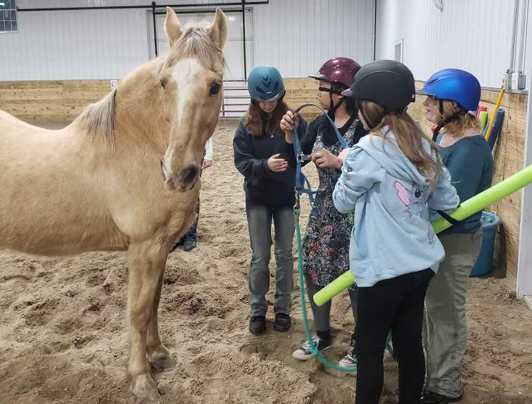 Healing with horses at Narrow Gate