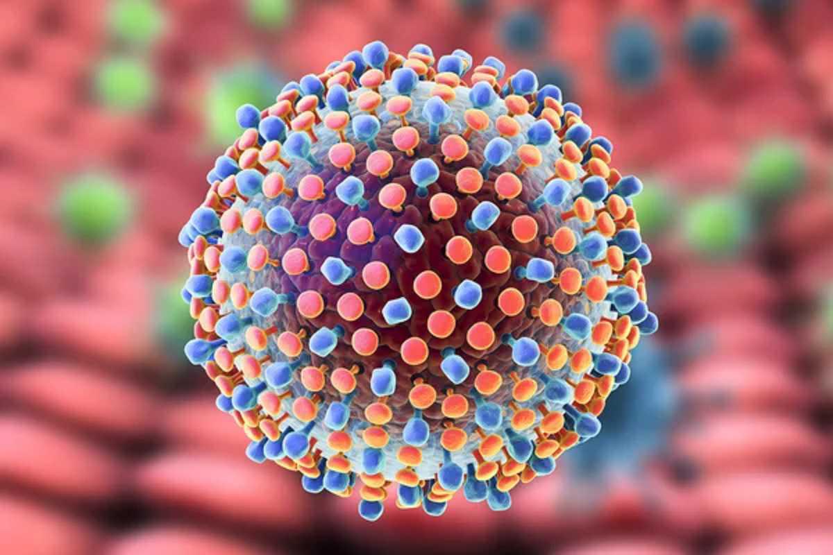 The HIV and Hepatitis C Connection