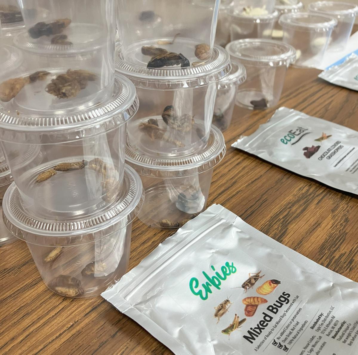 Crunchin' on a cricket Crunchin' on a cricket