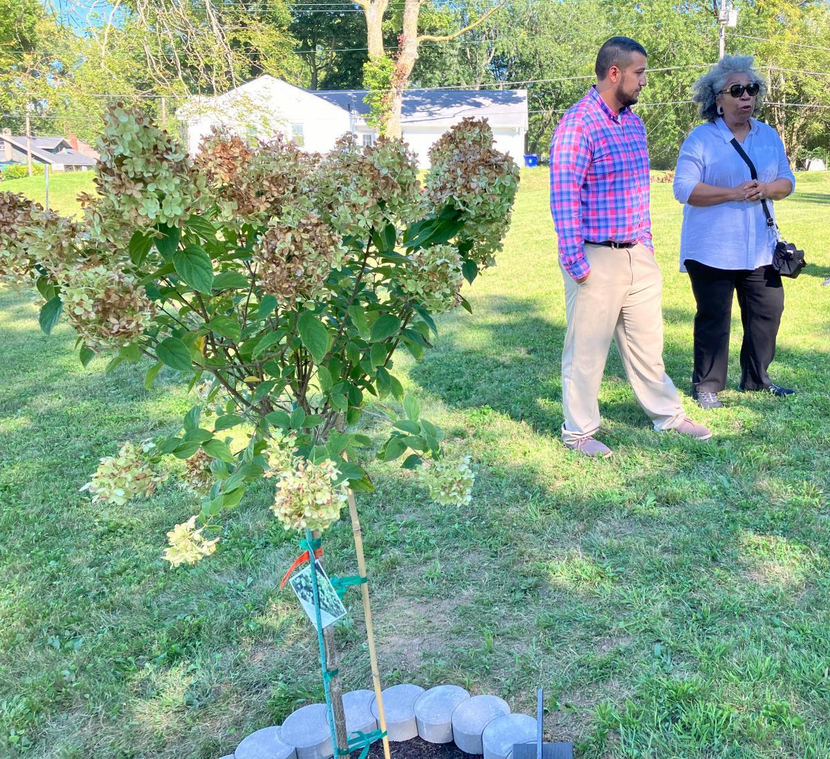Somers Park gets some much-needed love Somers Park gets some much-needed love