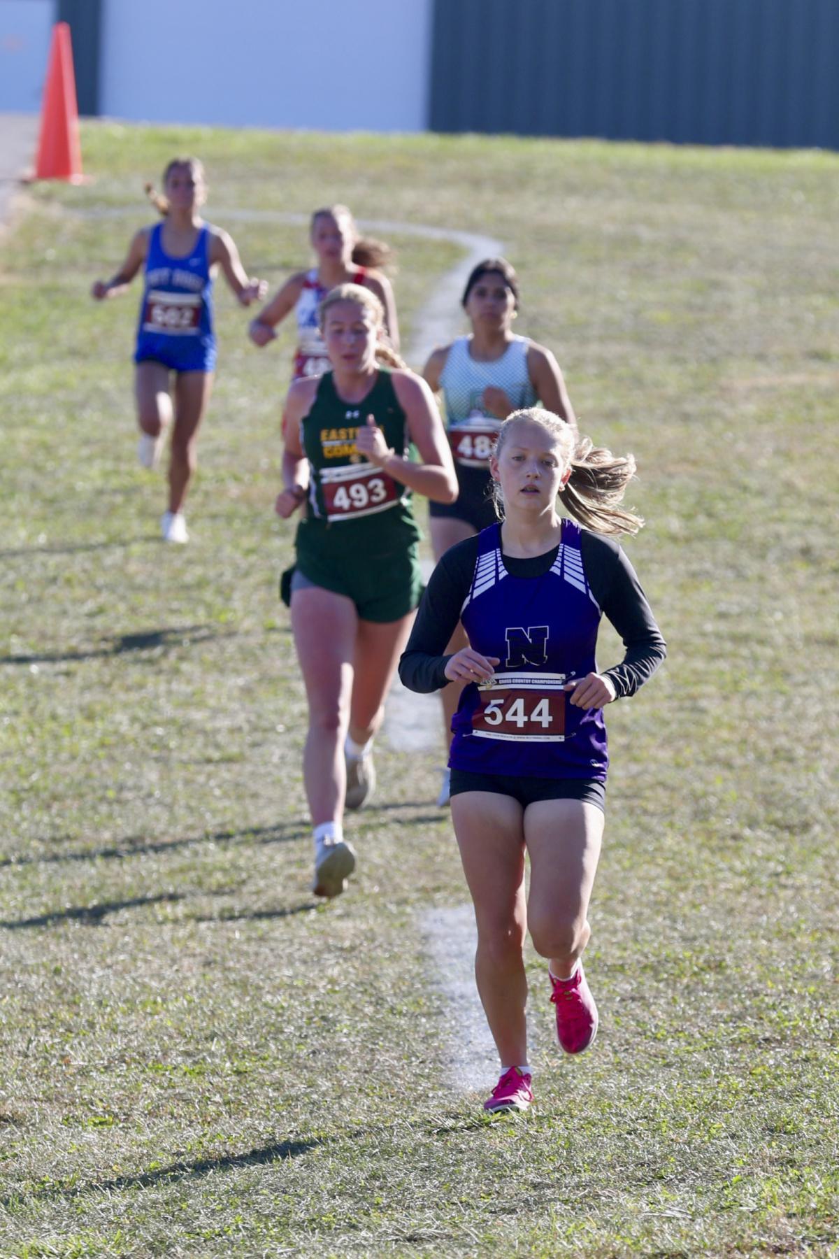 Western tops locals at cross country sectionals