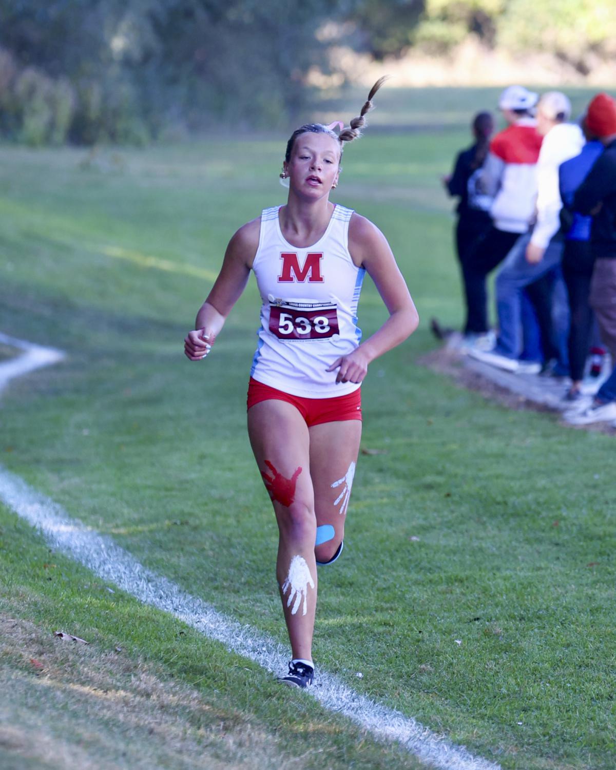 Western tops locals at cross country sectionals