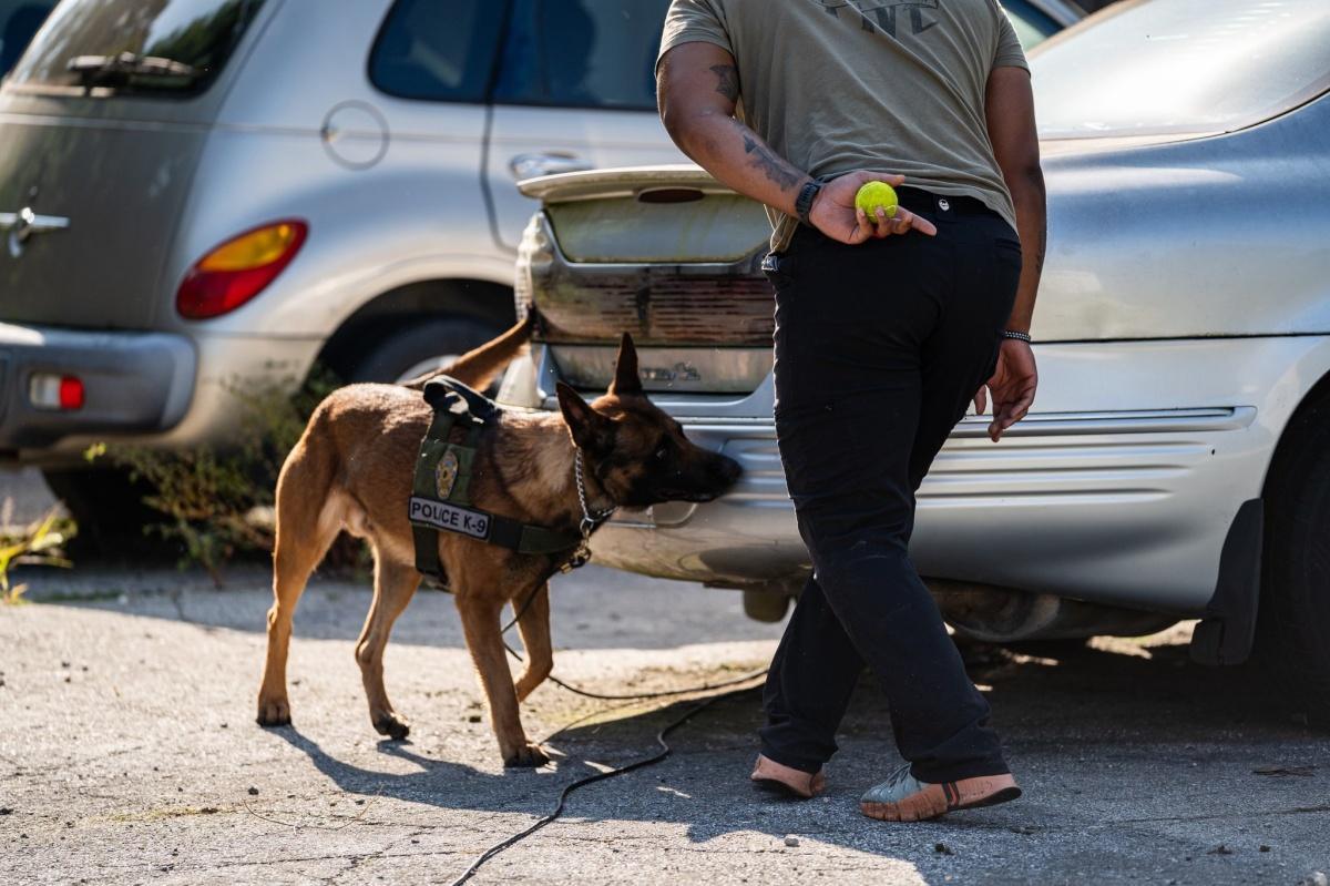 Police stay busy on Kokomo streets