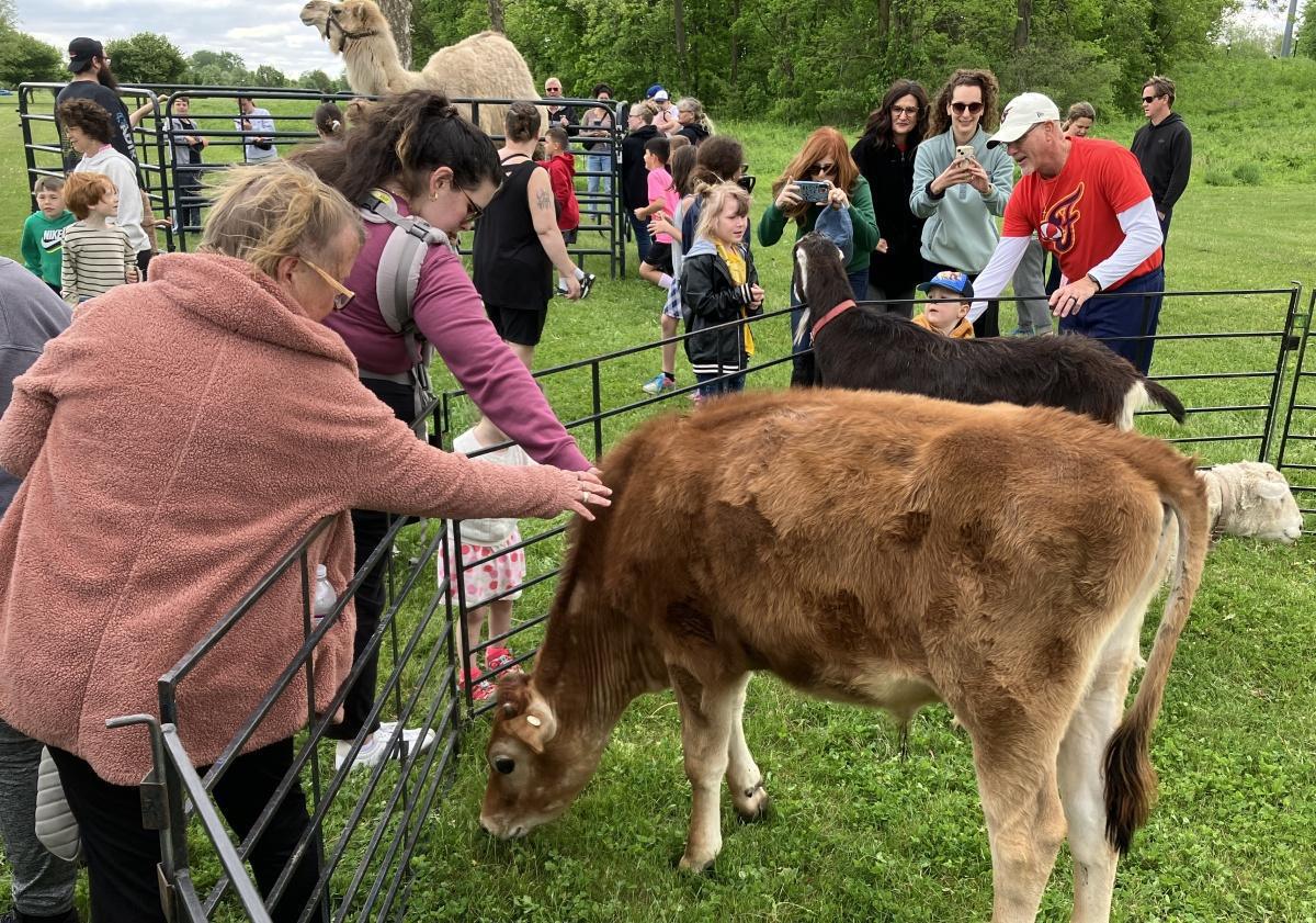 Creature Feature brings animals to the park